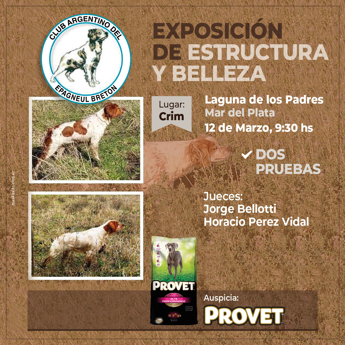 flayer proximas exposiciones de estructura de y belleza